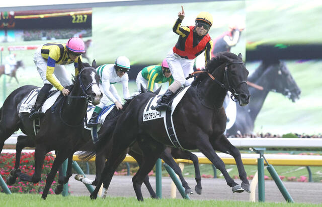 【坂口正大元調教師のG1解説】クロワデュノールの勝利に学ぶ現代競馬の戦略