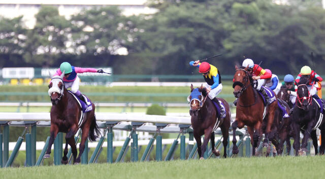 【徹底解説】メイショウタバルの宝塚記念制覇！絶妙ペースと馬場適性が鍵