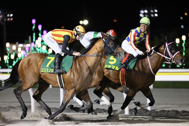 【2025年さきたま杯】JRA馬5頭出場！コスタノヴァとD.レーン騎手の活躍に注目