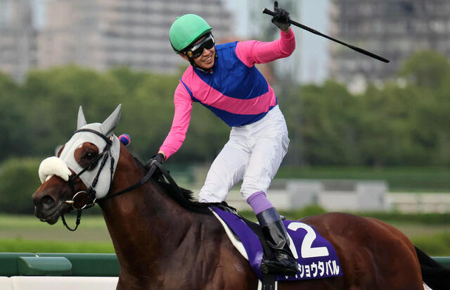 【宝塚記念】メイショウタバルと武豊騎手の感動の初G1勝利！深い縁と強い絆が生んだ奇跡の瞬間