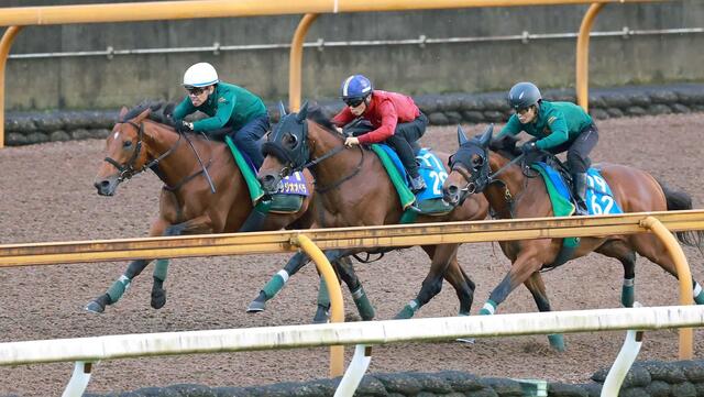 【宝塚記念2025】ベラジオオペラの順調な仕上がりと上村師の期待感