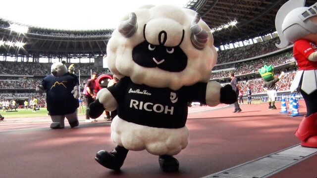 ラグビーリーグワン2024-25シーズン マスコット総選挙「ラムまる」が3度目の栄冠を獲得！