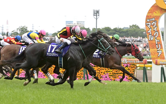 アスコリピチェーノがジャックルマロワ賞・Ｇ１に挑戦！次走の戦略と期待