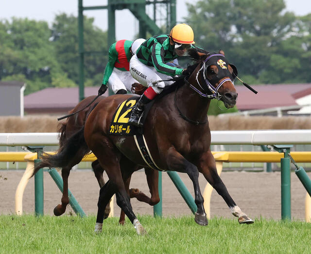 カリボールがパラダイスSで大逆転勝利！最低人気馬の驚異的なレース展開
