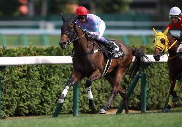 武豊騎手の夏競馬戦略：函館14鞍で目指す勝利の軌跡