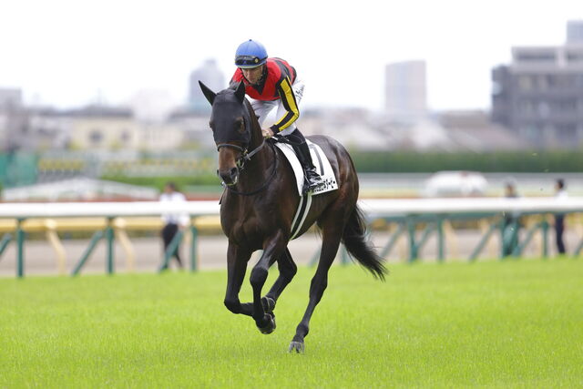 【日本ダービー2025】クロワデュノールが圧勝！ミュージアムマイルの6着とレース後のジョッキーコメント