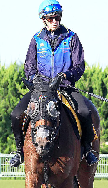 【府中牝馬Ｓ】ディー騎手がミアネーロで短期免許の有終の美を目指す