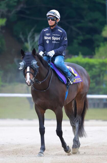 【安田記念2025】ソウルラッシュ 最強馬撃破の衝撃！7歳馬が描く新時代のマイル王伝説