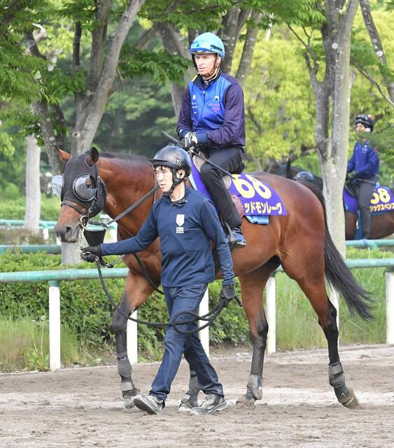 【安田記念】マイケル・ディー騎手、レッドモンレーヴでG1制覇を目指す！外国人騎手の活躍続く