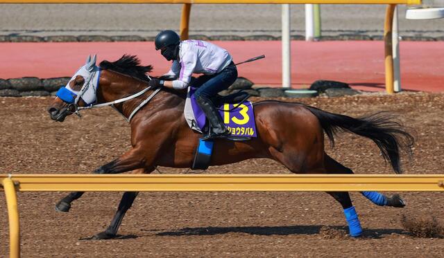 【宝塚記念】メイショウタバルの驚異のラップタイム！石橋師が成長を実感