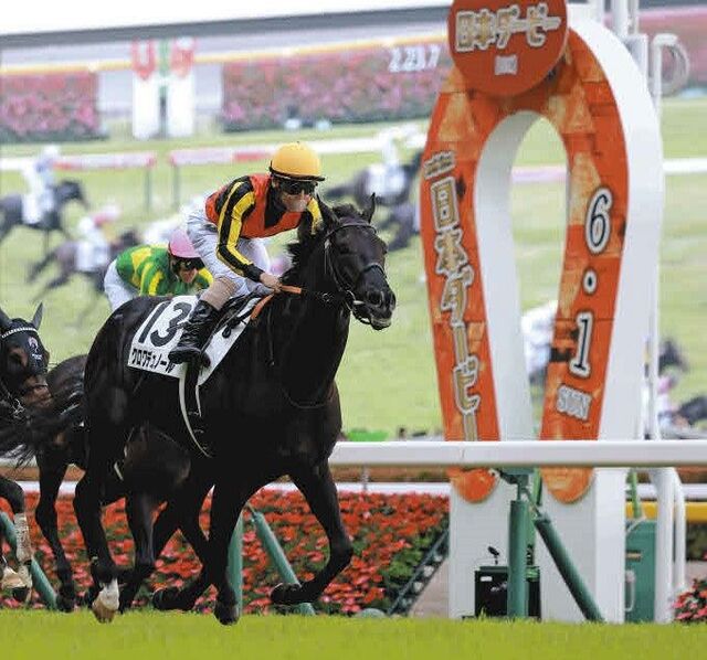 日本ダービー後の新馬戦が熱い！東京・阪神で始まる注目レース