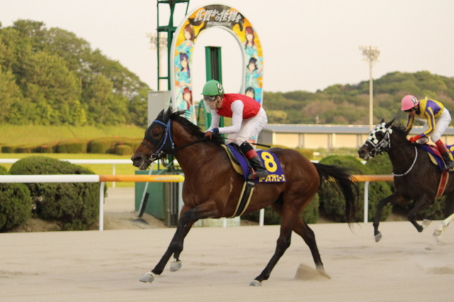 ムーンオブザエースが九州優駿栄城賞を制覇！2冠達成で佐賀競馬の新星に