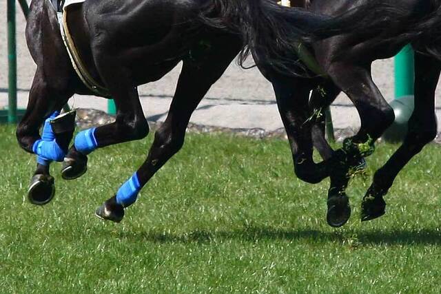 競馬と将棋の融合！京都競馬場で開催される第38期竜王戦の衝撃