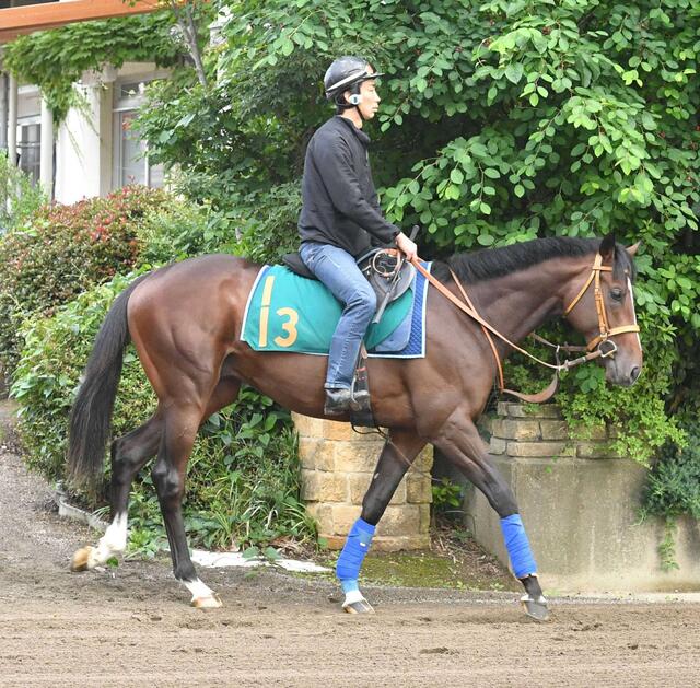 【新馬戦】ダノンヒストリーの大物予感！クロワデュノールの再来か？