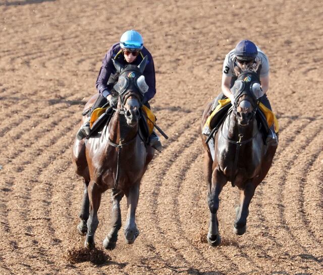 【府中牝馬S】ラヴェルの荒木助手が語る、前進気勢と勝利への期待