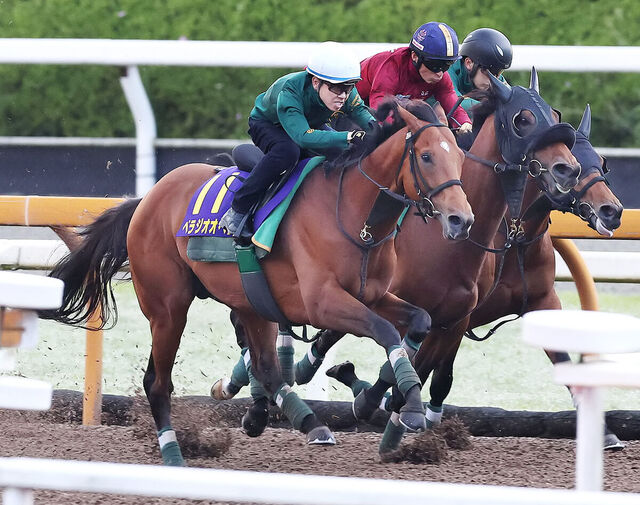 【宝塚記念2025】ベラジオオペラの連勝への挑戦！上村調教師の戦略とファンの期待