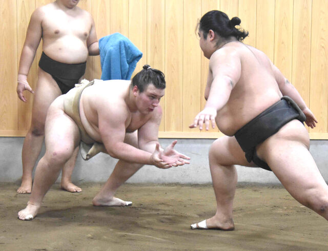 大相撲名古屋場所へ向けた安青錦の挑戦と三役昇進への誓い