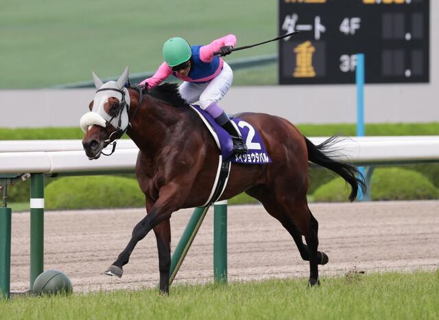 【宝塚記念】武豊騎手が19年ぶり5勝目！メイショウタバルが鮮やかな逃走VでGⅠ初制覇