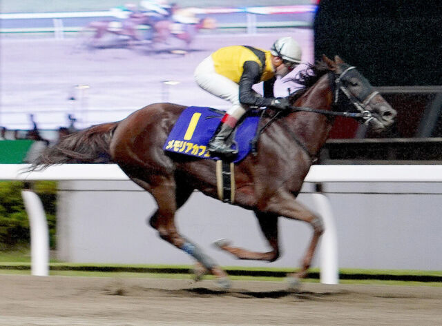 【関東オークス】メモリアカフェが圧勝！柄崎調教師の夢の初重賞制覇