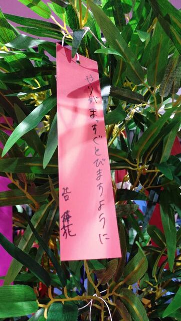 北口榛花、七夕の願い『やりがまっすぐとびますように』で世界陸上2連覇を目指す