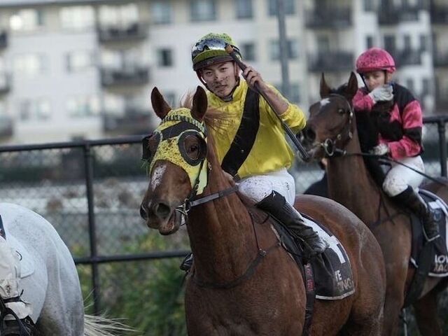 ニュージーランドで飛躍する大久保友雅騎手：日本を超えた新たな挑戦