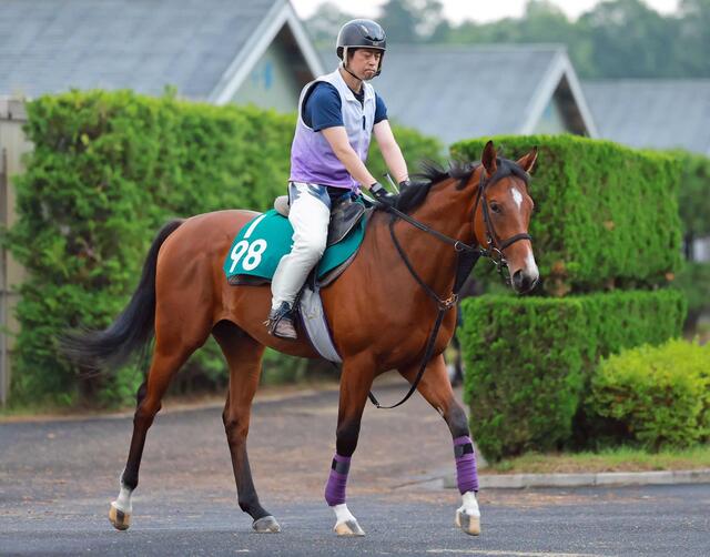 【新馬戦】コロナドブリッジの初陣に期待！姉妹馬の輝かしい実績を追う