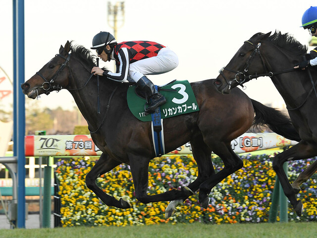 【競馬予想】小倉記念2025：血統分析で見る勝ち馬のポイント