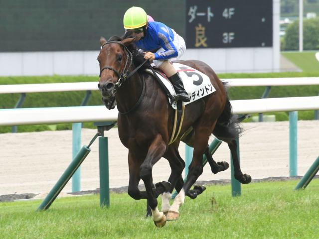 【2025年7月19日】マリーンSでレディントンがOP初勝利を目指す！福島・小倉・函館の注目レース