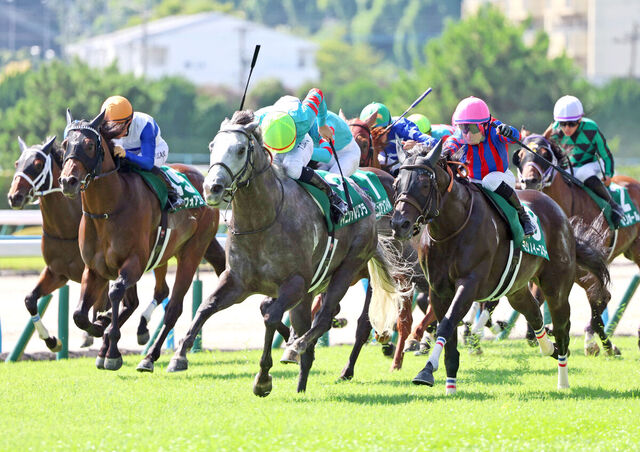 【北九州記念】ヤマニンアルリフラが歴史的勝利！ 16連敗のジンクスを打ち破り新スプリント王者誕生