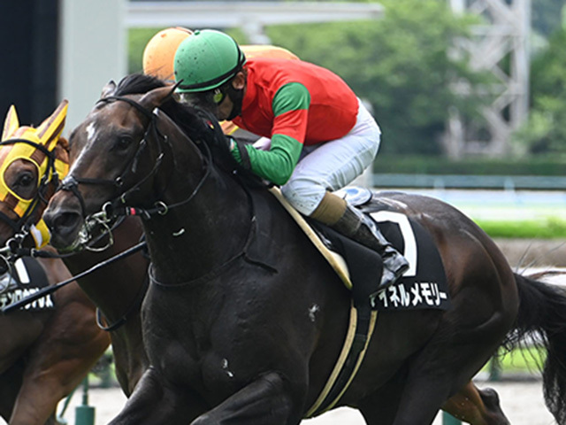 【テレQ杯】外枠の活躍と距離短縮組の激走に注目！2025年競馬レース分析