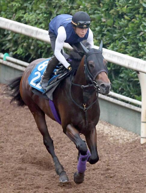 【北九州記念】ロードフォアエースの調子が上向き、栗東坂路で好調をアピール