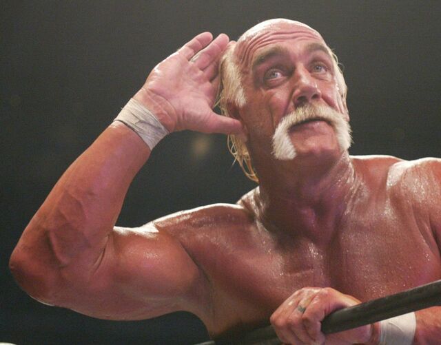 伝説のプロレスラー、ハルク・ホーガン氏逝去：WWEの殿堂入りスターが71歳でこの世を去る