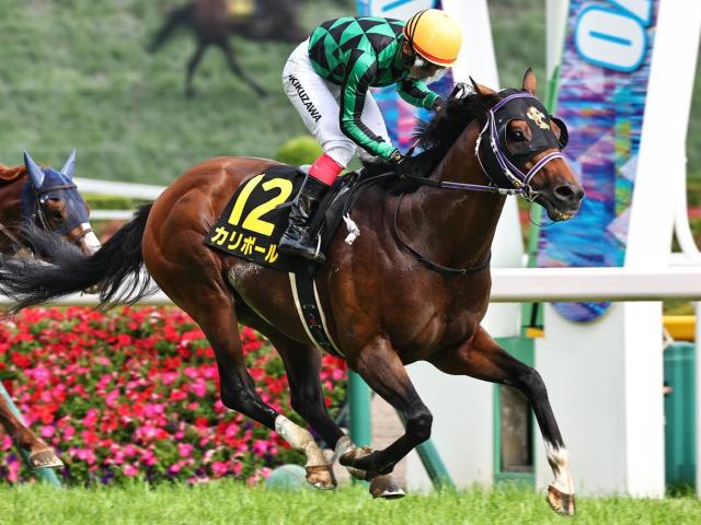 【歴史的挑戦】9歳馬カリボールが北九州記念で伝説を刻む！ 重賞最年長Vへ奇跡の軌跡