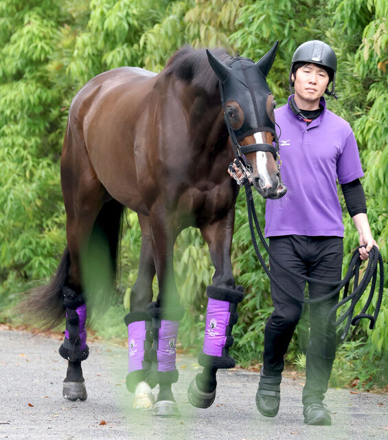 【2025年競馬シーズン】カムニャック、アドマイヤテラ、ショウヘイの復帰戦に注目！