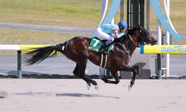 【東海S】ヤマニンウルスが圧巻の復活V！武豊騎手のガッツポーズが勝利を彩る