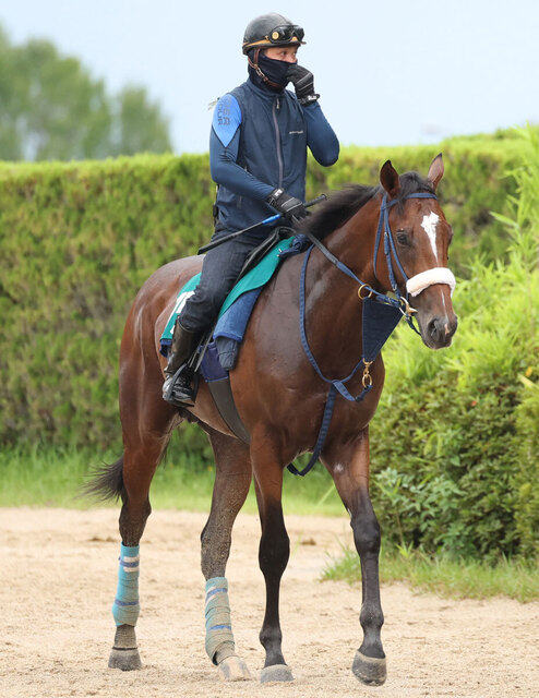 【今週の注目新馬】ロードフィレールが小倉デビュー！ダノンプレミアムの血統を引く期待の新星