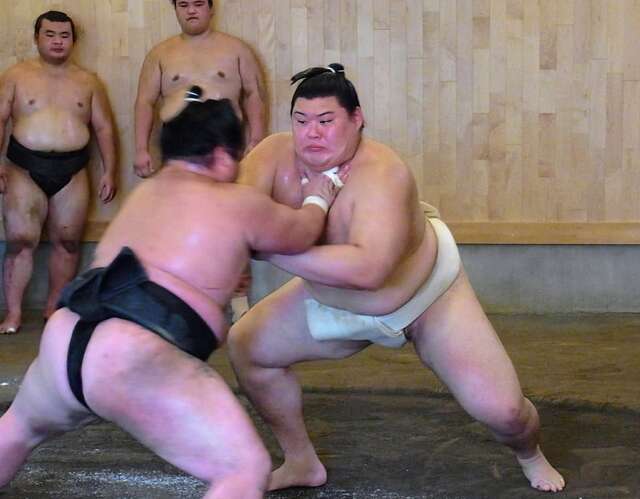 新横綱大の里、名古屋場所に向けて本格始動！花の海との稽古で8勝2敗