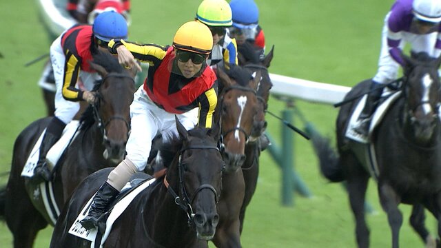【独占】北村友一騎手とクロワデュノールの凱旋門賞挑戦！日本競馬の新たな歴史を刻む