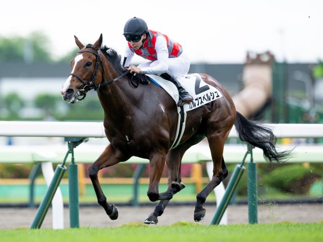 【2025年夏季競馬】新潟・中京の暑熱対策と注目レースの徹底分析