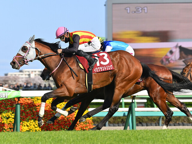 【競馬予想】関屋記念2025：ルメール＆ボンドガールの脅威に立ち向かう若き人馬のリベンジ戦