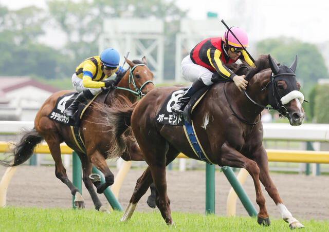 【2025年7月19日】土曜競馬必勝ガイド：福島・小倉の注目馬ベスト3