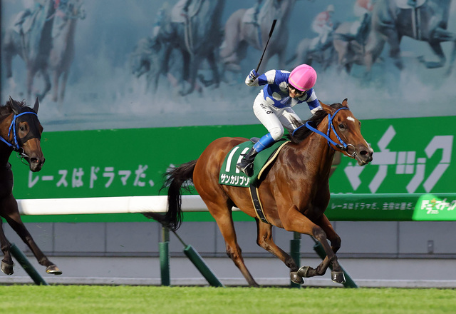 【盛岡・サファイア賞】サンカリプソが初芝で鮮やか重賞初制覇！坂井瑛音騎手の見事な騎乗