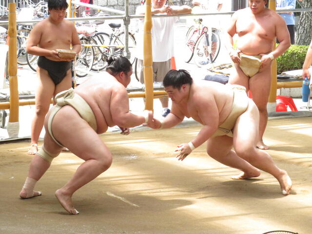 琴桜、名古屋場所に向けて順調な仕上がり　王鵬ら相手に12勝3敗で2度目の優勝へ