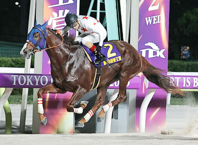 ミッキーファイトが帝王賞を制覇！ルメールが絶賛する未来のスーパーホース