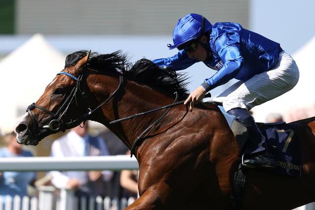 2025年最新競馬ランキング発表！オンブズマンとドラクロワの激戦に注目