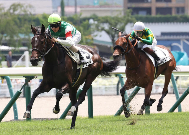 アランカール圧勝デビュー！母シンハライトの良血が描く新たな出世街道／福島新馬戦