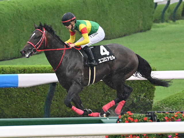 【TUF杯2025】内枠有利の脚質分析と勝つための戦略