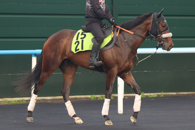 【函館２歳Ｓ】カイショーが新時代の扉を叩く！ 前人未到のレコード更新＆次戦へ向けた絶好調体制を徹底分析
