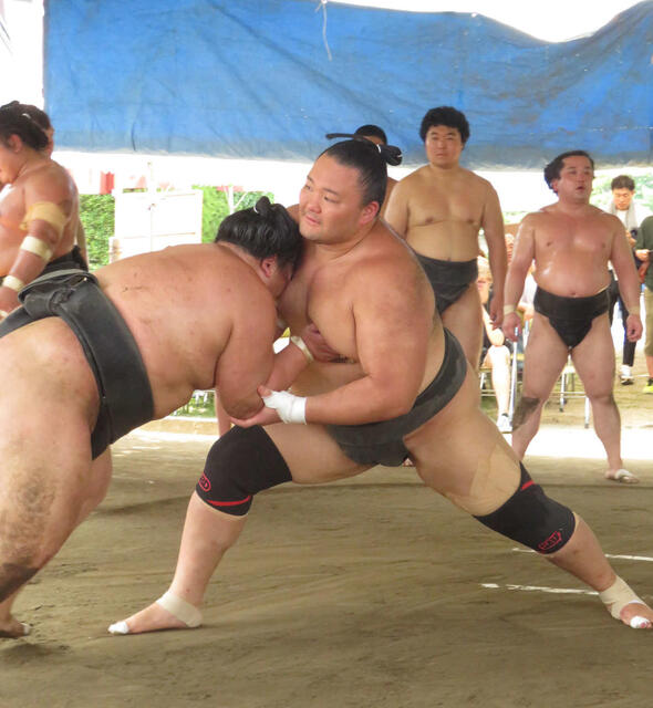 猛暑の中、朝乃山が19番17勝2敗の好成績で再十両へ向けて準備万端