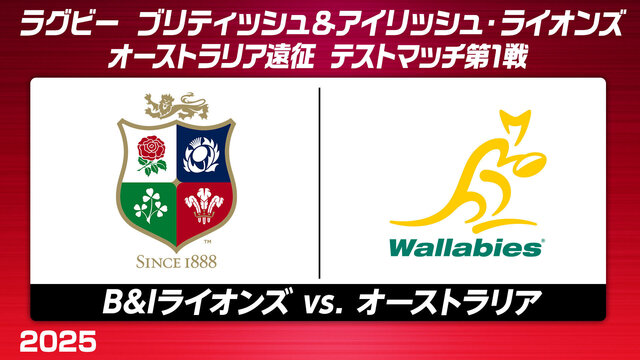 英愛最強ライオンズvs復活ワラビーズ！テストマッチ第1戦ブリスベン熱狂の行方